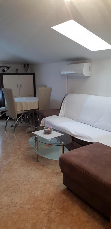 Apartmani Citrus Novigrad Filipac Extérieur photo