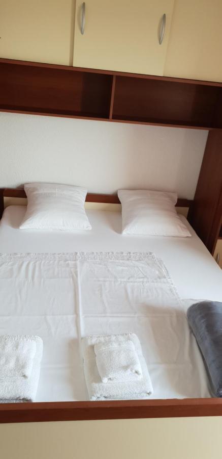 Apartmani Citrus Novigrad Filipac Extérieur photo