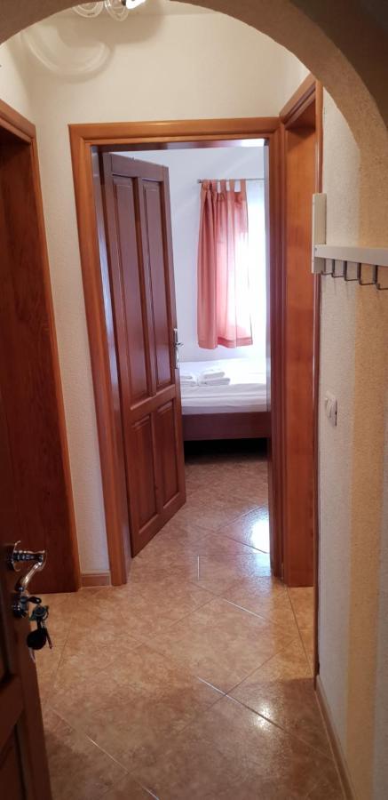 Apartmani Citrus Novigrad Filipac Extérieur photo