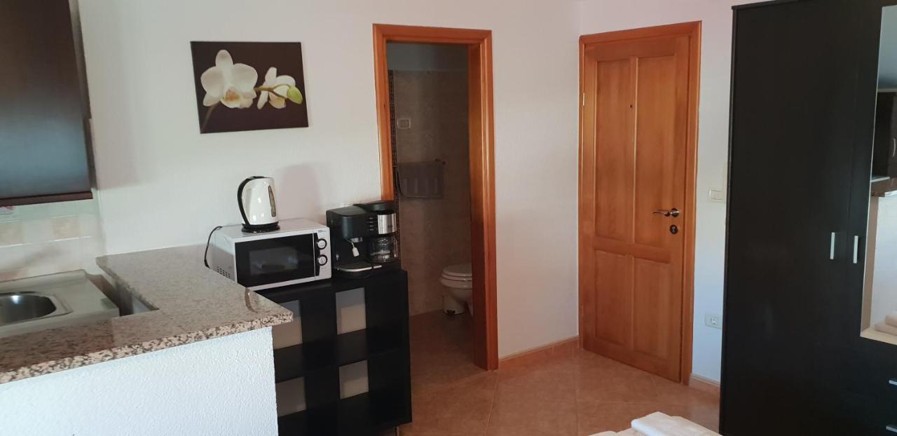 Apartmani Citrus Novigrad Filipac Extérieur photo