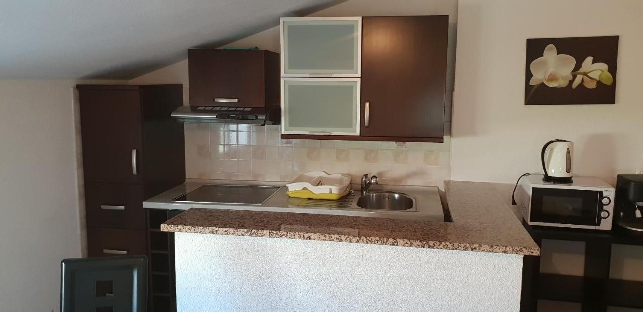 Apartmani Citrus Novigrad Filipac Extérieur photo